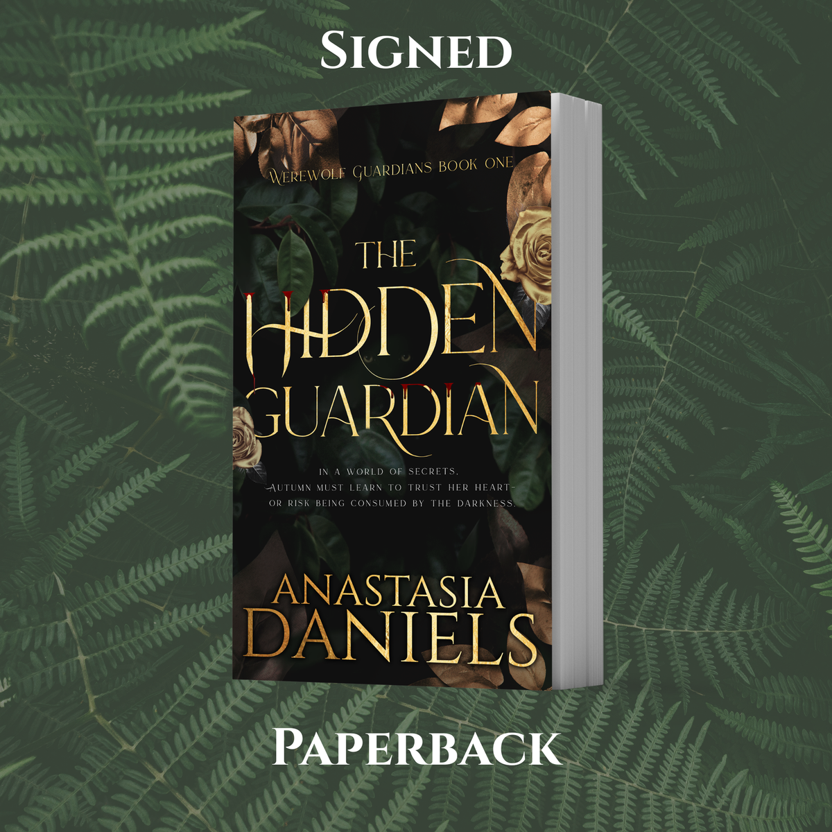 The Hidden Guardian Paperback