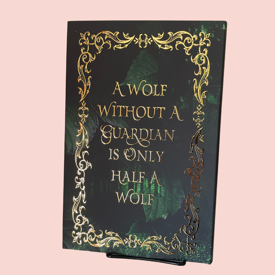 The Hidden Guardian SPECIAL EDITION Hardcover