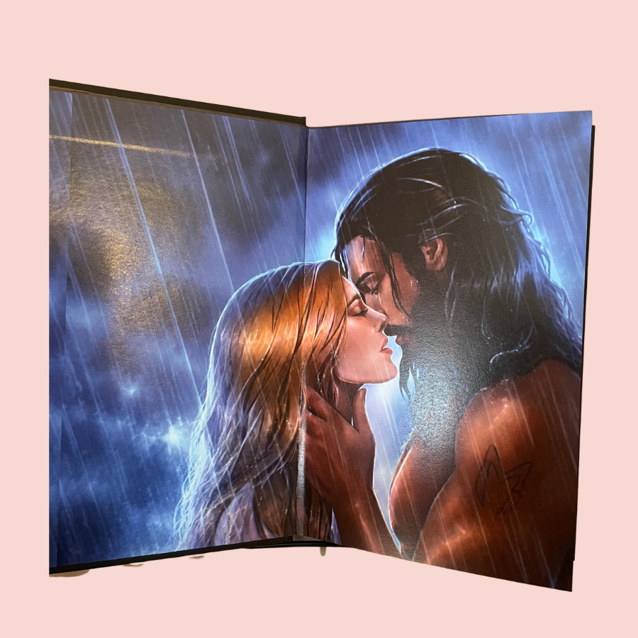 The Hidden Guardian SPECIAL EDITION Hardcover