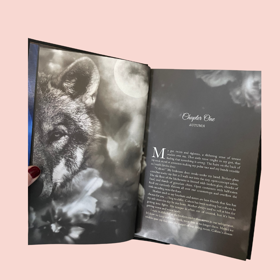 The Hidden Guardian SPECIAL EDITION Hardcover