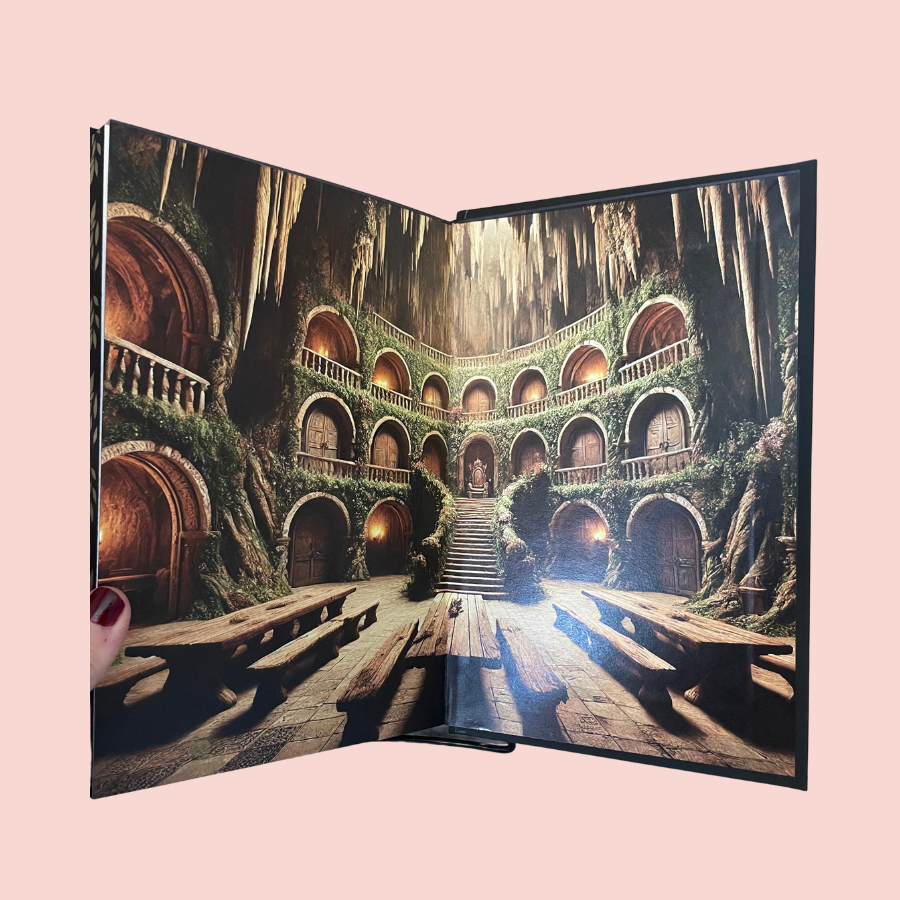 The Hidden Guardian SPECIAL EDITION Hardcover