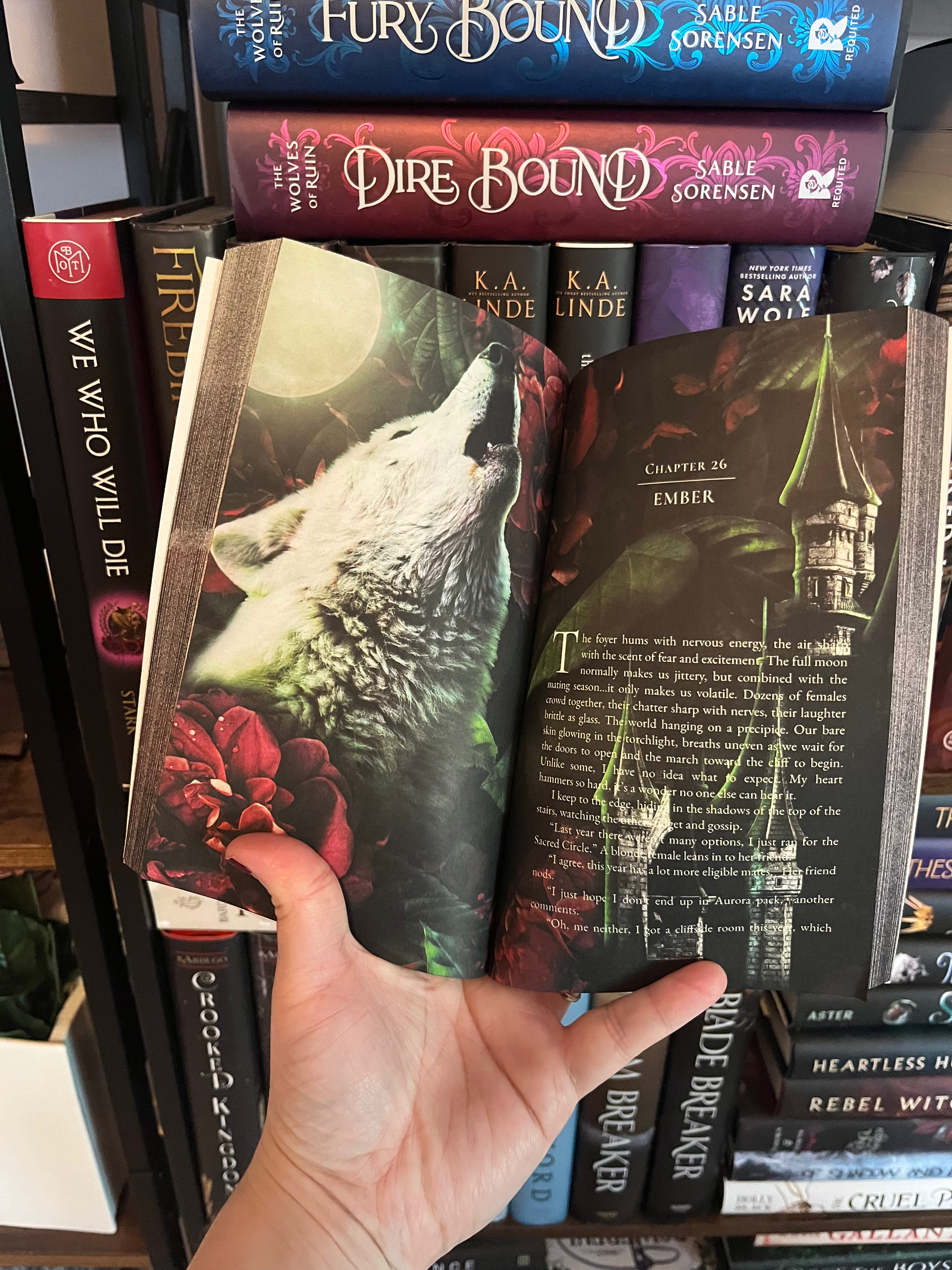 The Mating Trials SPECIAL EDITION Paperback