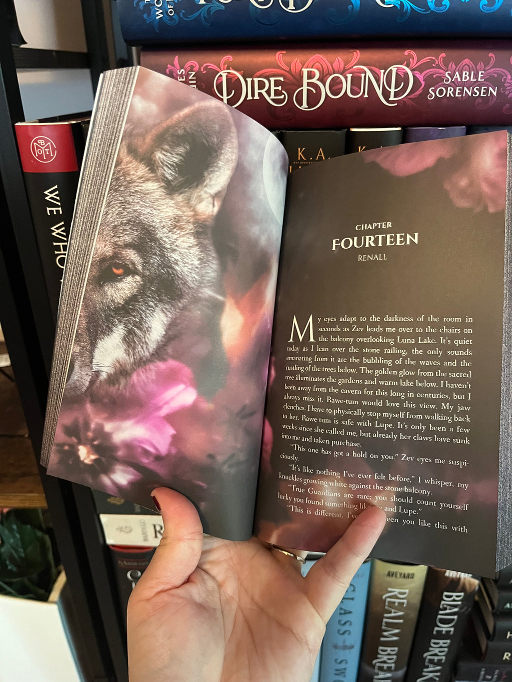 The Hidden Guardian SPECIAL EDITION Paperback