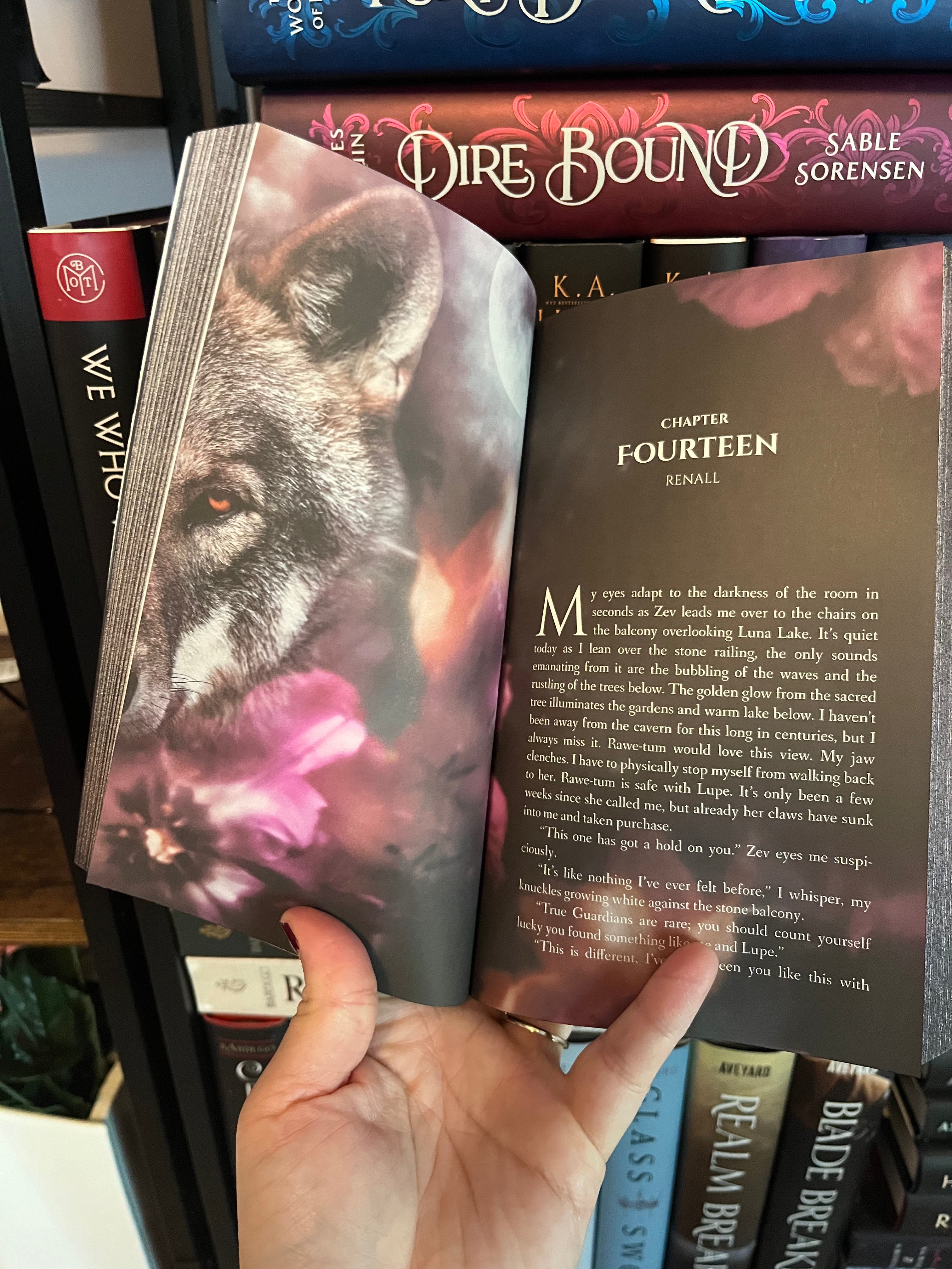 The Hidden Guardian SPECIAL EDITION Paperback