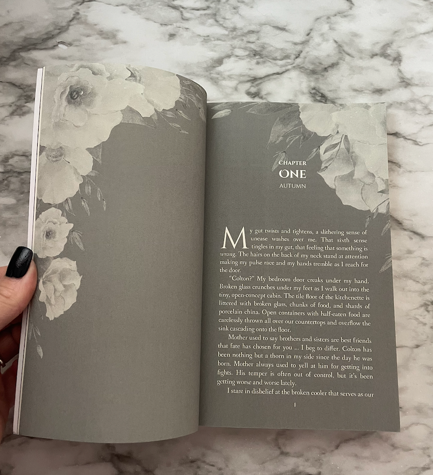 The Hidden Guardian Paperback
