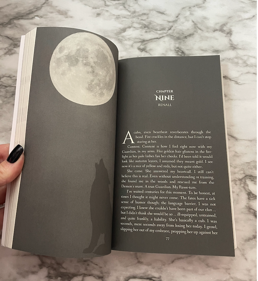 The Hidden Guardian Paperback