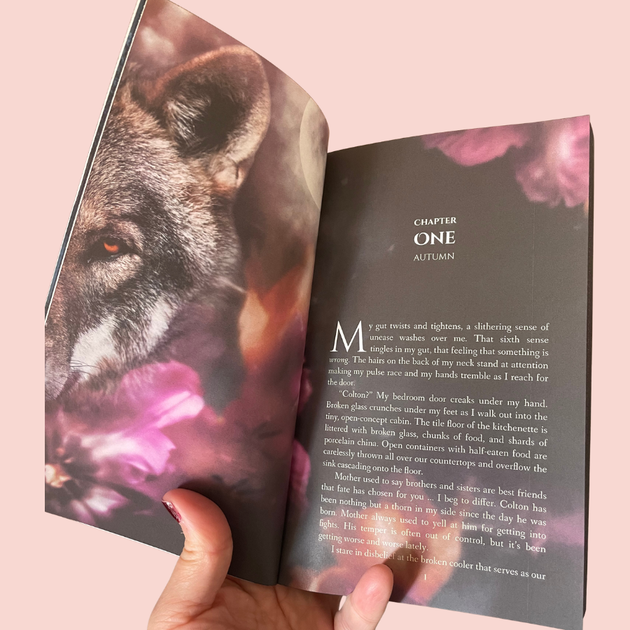 The Hidden Guardian SPECIAL EDITION Paperback